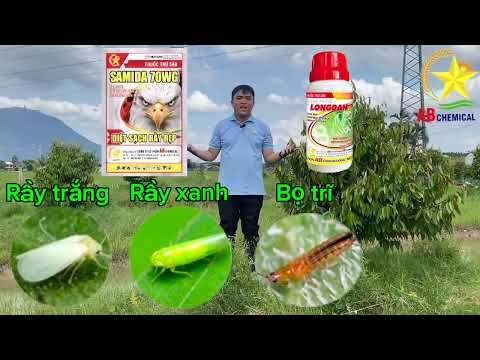 LONGDAN + SAMIDA - BỘ ĐÔI DŨNG MÃNH, DIỆT SẠCH BỌ RẦY RỆP