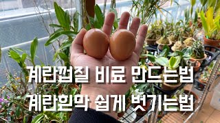 계란껍질비료 만드는법!! 계란흰막 쉽게 벗기는법!!