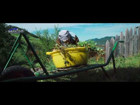 Frieda Gamper, eine starke Frau geht ihren Weg