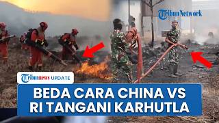 Perbandingan Cara Indonesia vs China Tangani Karhutla, Kondisi Geografis dan Cua