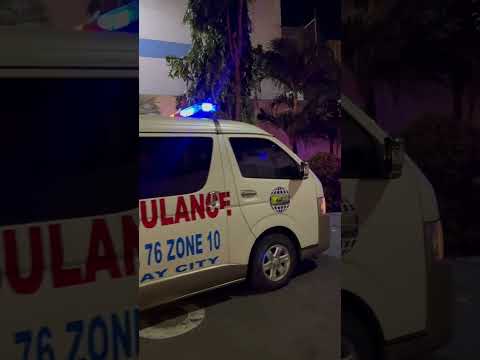 New Rear, Side and Toplight Blinkers or 76 Ambulance 1.