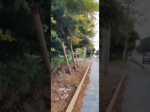 Caminando por avenida calera de tango. Chile parte 3