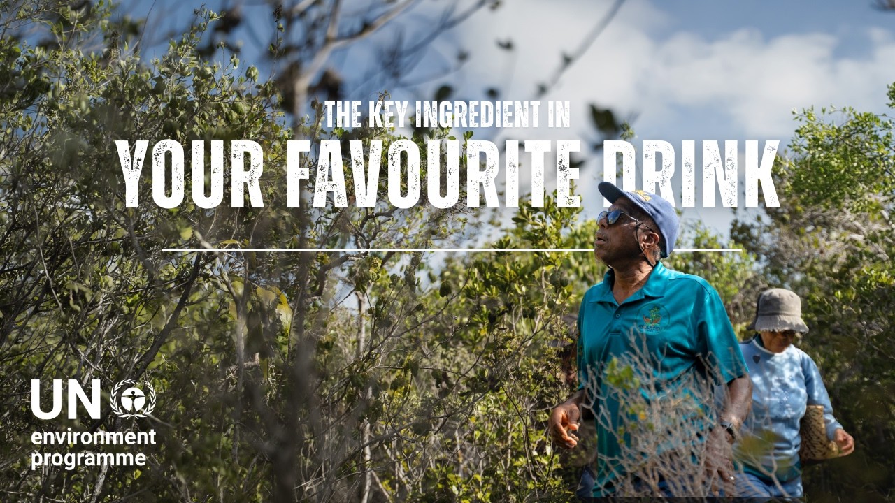 How this global commodity is shaping life in the Bahamas