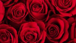 ROSAS - LA OREGA DE VAN GOGH