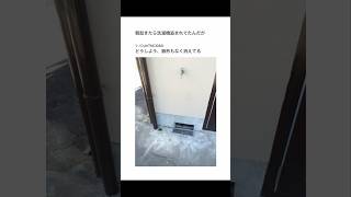 【2ちゃんねる】洗濯機が無くなったんだがwww【アフレコ】