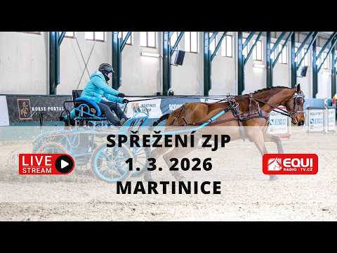 ŽIVĚ 🔴 | spřežení Martinice – 1. 3. 2026