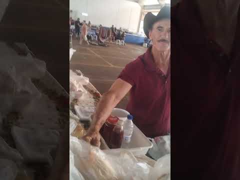 Canarana mato grosso o rei das galinhas gordas valdir