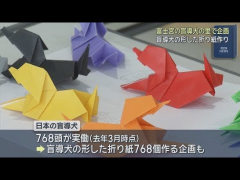 YouTube Video 盲導犬の形をした折り紙を７６８個作ろう　静岡・富士宮市の盲導犬の里・富士ハーネスで、ゴールデンウィークの特別イベント開催