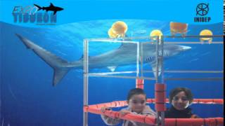 DIA 2 Expo Tiburon282