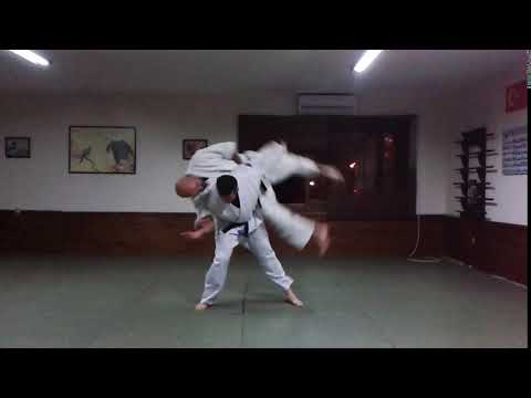 Aikido shomen uchi koshi nage 2