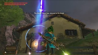 After 7 years of BOTW, did you know that the Master Sword CAN DO this?