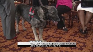 Service dogs in courtroom