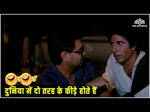 दुनिया में दो तरह के कीड़े होते हैं | Hum हम (1991) | Amitabh, Rajnikanth, Govinda | NH Studioz | HD