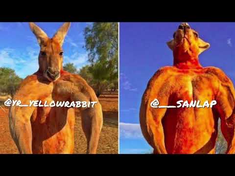 Foshan - Chase Down Block ft. YellowRabbit ,卓峰整嘅