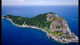 Yılan Adası Vahşi ve Ölümcül HD belgesel