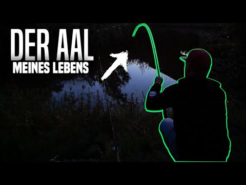 Der AAL meines LEBENS beim ANGELN am kleinen FLUSS