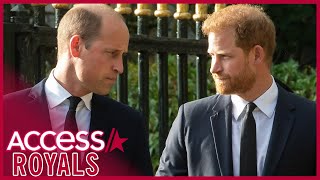 How Prince Harry & Prince William Felt After Reuniting Amid Queen’s Death
