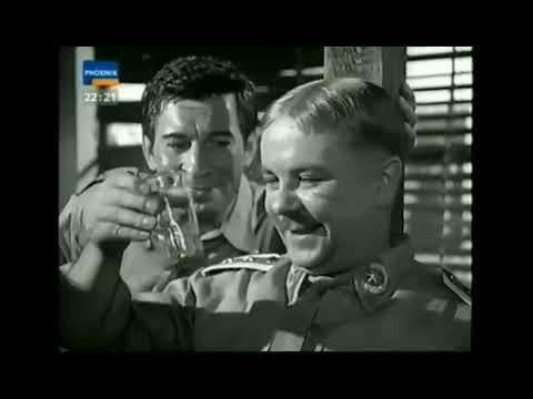 The Roehm purge (1967)