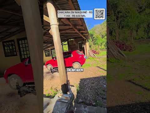 [955] CHÁCARA EM MAQUINÉ 1 HA, CASA MOBILIADA, RIO CRISTALINO, LUZ, JARDIM R$ 650 MIL #chacara #rio