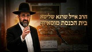 הרב אייל שרגא  •  סגולות חג השבועות