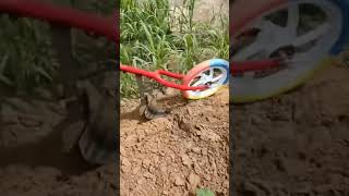 Download lagu Practical Agricultural Tools for Loosening the Soil mp3