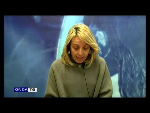 INTERVISTA ANTONELLA DI NINO