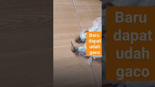 Download lagu prenjak kepala gacor mental baja mp3 Download lagu prenjak kepala gacor mental baja mp3