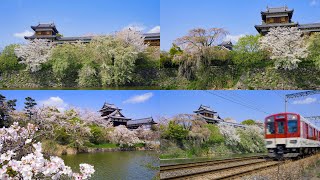 郡山城