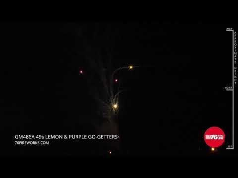 GM486A 49s Lemon & Purple Go Getters