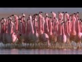 (Hilarious) Andean flamingo mating dance | NATURE ...