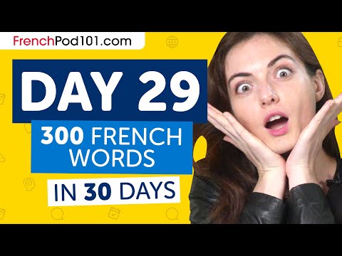 Day 29: 290/300 | Learn 300 French Words in 30 Days Challenge