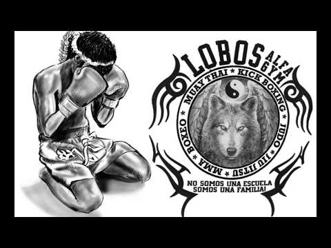 Torneo Anual Lobos Alfa Gym - Combate de Emily - Kick Boxing