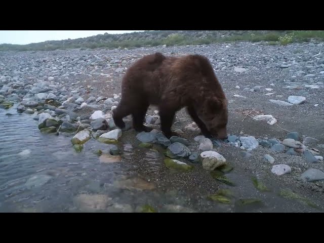 В национальном парке временно остановили выдачу разрешений на посещение Байкальской тропы