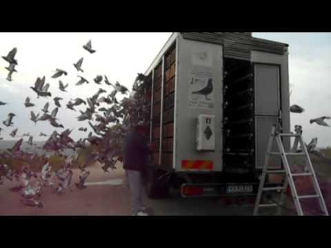 20150503 Drasenhofen