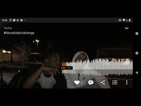 TayGzz - Nevafoldchallenge