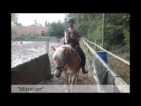 Trail- Training 2015/2016 mit Tanja Marion Mayer