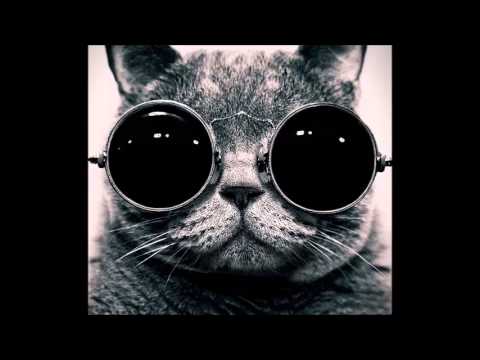 Martin Garrix - Animals (HouseTwins Mashup)