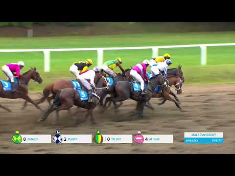 5. 8. 2023 - 8. dostih - Cena firmy Chládek a Tintěra, Pardubice a.s. – III. kv. na 133. Vp se Sp