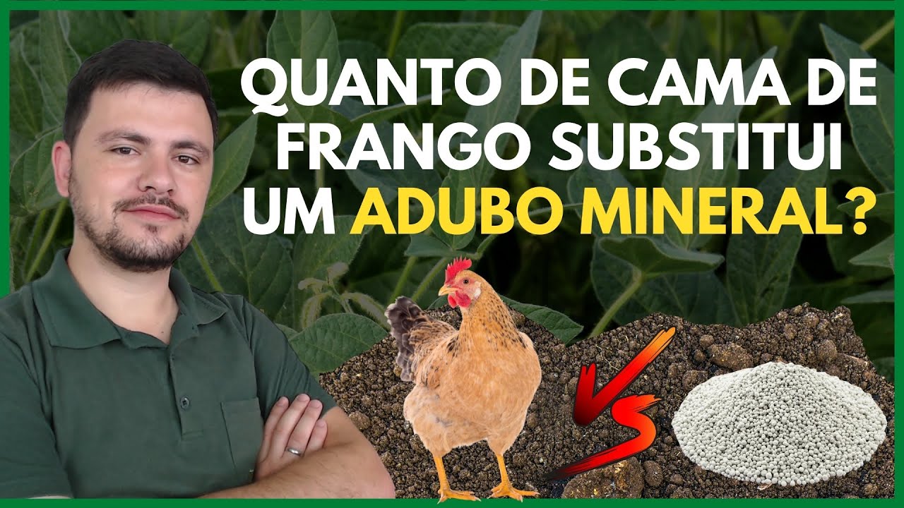 Quanto de CAMA DE FRANGO substitui 150g de adubo mineral 20-05-15 (Veja isso)