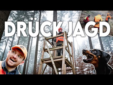 Wie funktioniert Jagd? Auf Drückjagd mit Felix und Ardelle - Forst erklärt