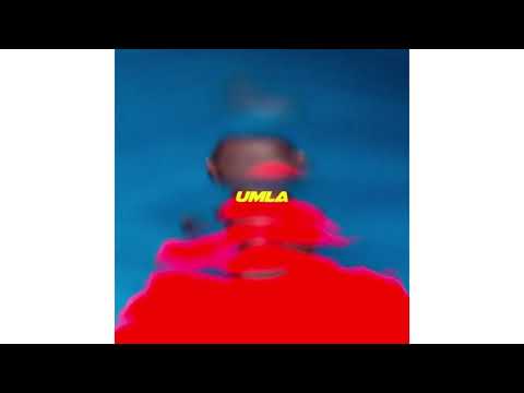 [FREE] Freestyle x Alpha Wann Type beat 2021 « GANG » Kickage / Lourd / Instru rap