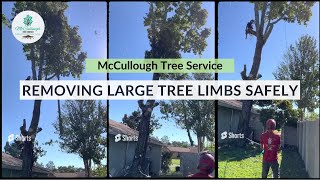 Removing Large Tree Limbs Safely | McCullough Tree Service