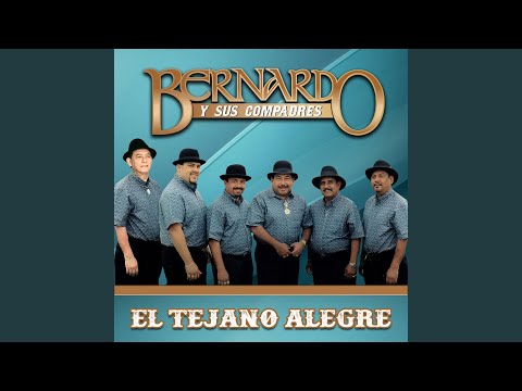 Cómo Pude Enamorarme de Ti