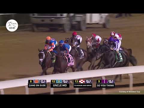 TOP 8 CRAZY HORSE RACING FINISHES   Ever