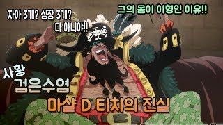 【 원피스】검은수염 티치의 비밀에 대한 분석!! 그의 몸이 이형인 이유와 여러능력을 쓸 수 있는 이유를 파헤쳐보다
