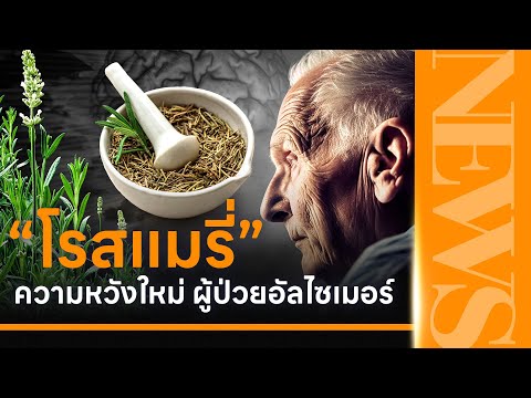 โรสแมรี่ ความหวังใหม่ของผู้ป่วย อัลไซเมอร์ | THAN NEWS