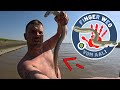 Dicker Aal beißt mir in die Hand verbotenen Fisch gefangen ! #angeln #fishing #aal #outdoor