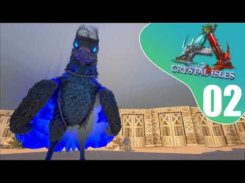 DEN VILDSTE ARGENTAVIS EVER! - Med EmmaBaben - DANSK ARK