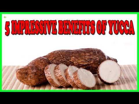 5 Impressive Health Benefits Of Yucca You Were Not Aware Of | Best Home Remedies