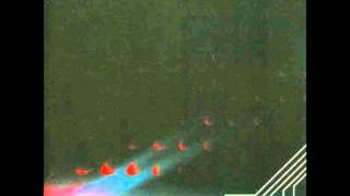 CURL UP AND DIE And Then The Robots Killed